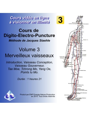 Cours vidéo digitopuncture vol 3: les merveilleux vaisseaux
