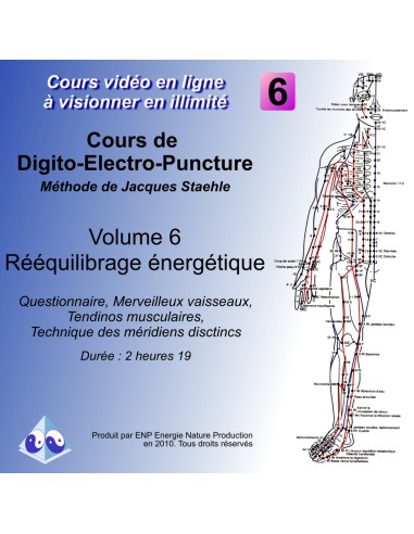 Cours vidéo digitopuncture vol6 : bilan, rééquilibrage, tendino-musculaires et méridiens distincts