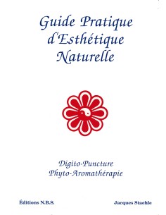 Guide pratique d'esthétique de Jacques Staehle